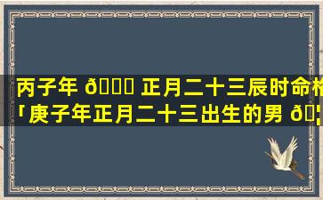 丙子年 💐 正月二十三辰时命格「庚子年正月二十三出生的男 🦊 孩」
